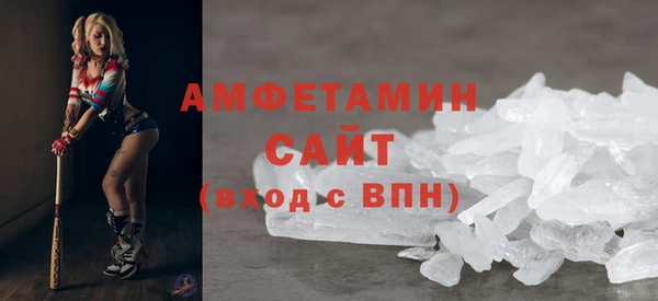индика Баксан