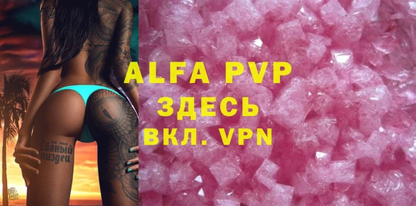 индика Баксан