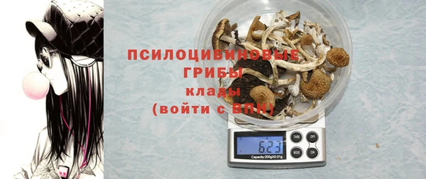индика Баксан