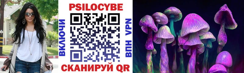 Псилоцибиновые грибы Psilocybine cubensis  Купить где  Лаишево 