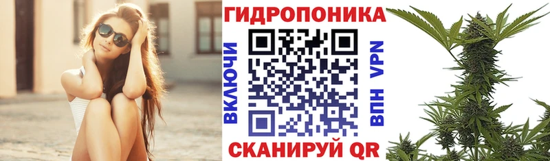 Купить  Лаишево  МАРИХУАНА гибрид 
